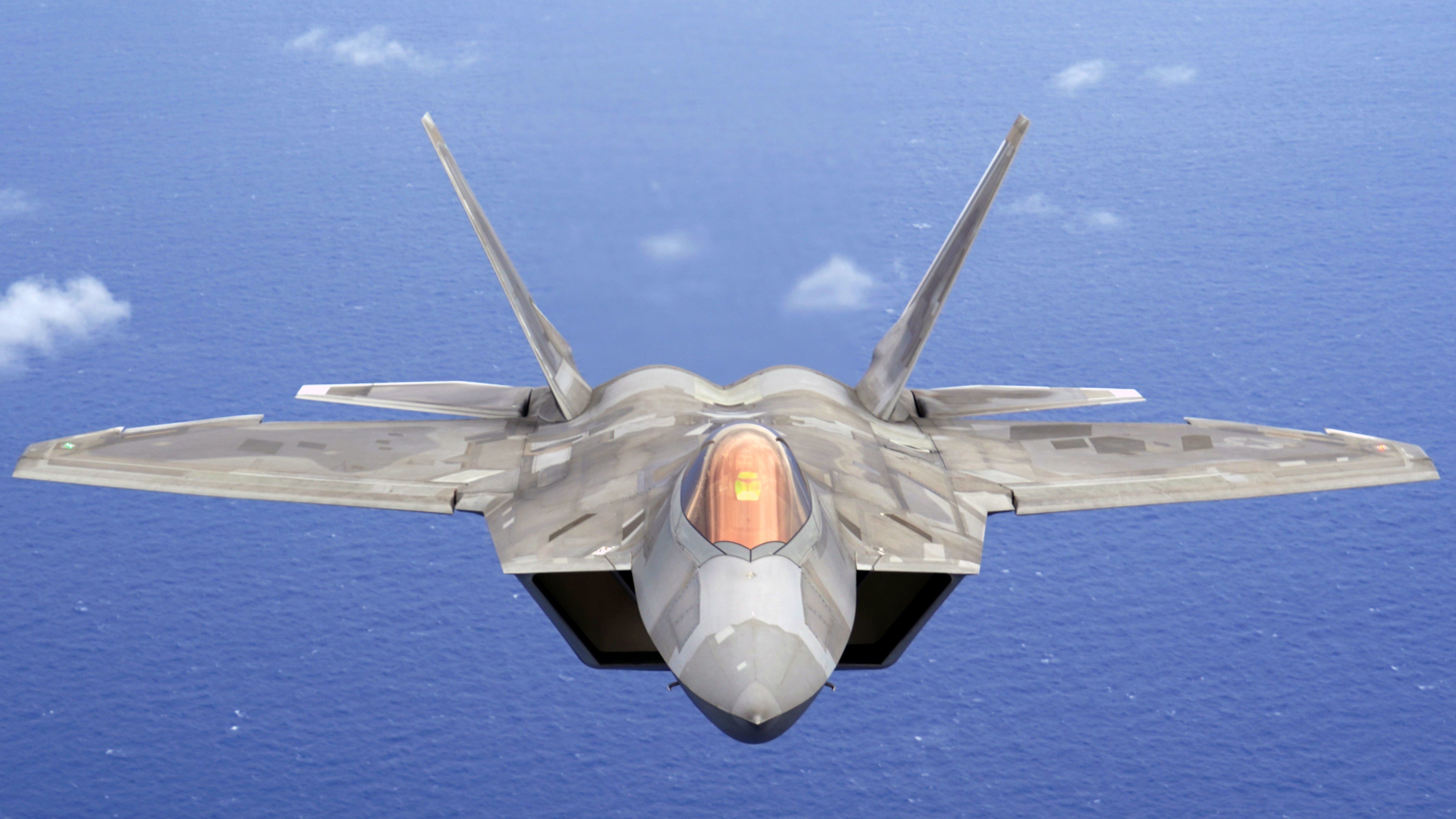 F-22A Raptor in flight
